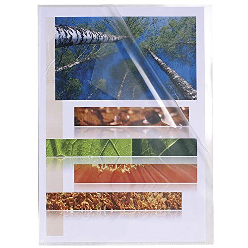 EXACOMPTA Carton de 100 Pochettes coins A4 Lisse 12x100e... - Auto & Moto Amazon France à 3.24€