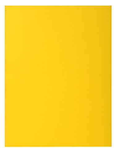 EXACOMPTA Paquet de 100 sous-chemises Rock's en carte 80 g... - Auto & Moto Amazon France à 4.74€