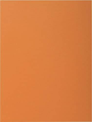 EXACOMPTA Paquet de 100 sous-chemises Rock's en carte 80 g... - Auto & Moto Amazon France à 4.74€