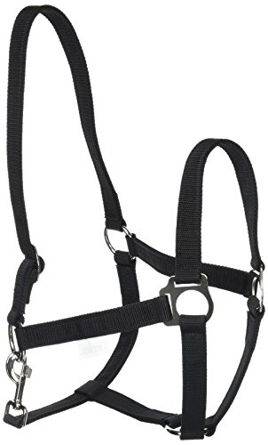 Kerbl Halfter Nylonhalfter Classic, Schwarz, 2, 32115 - Amazon Germany à 9.99€