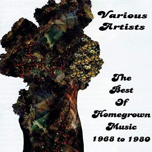 The Best Of Homegrown Music 1968 - 1980 - Amazon Royaume-Uni à 5.64€