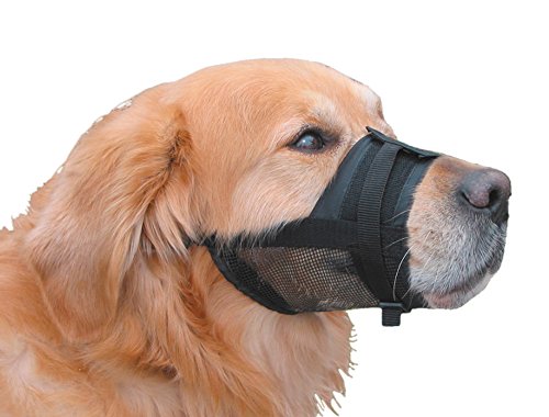 Nobby Nylon Adjustable Muzzle for Dog, Size 0 - XS - 13... - Home & Kitchen Amazon UK à 4.29€