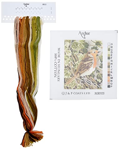 Anchor - Kit da Ricamo, Soggetto pettirosso - Amazon Italie à 18.34€