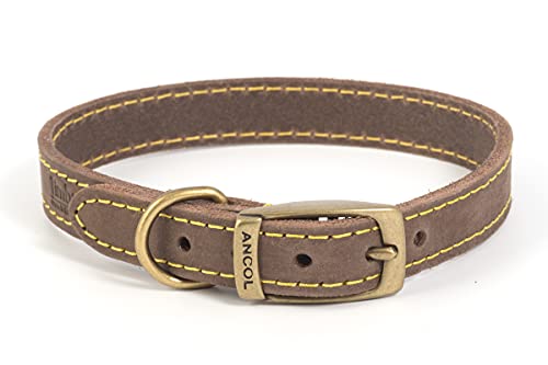 Ancol Timberwolf Collier pour Chien en Cuir avec Fil... - Maison & Cuisine Amazon France à 12.59€