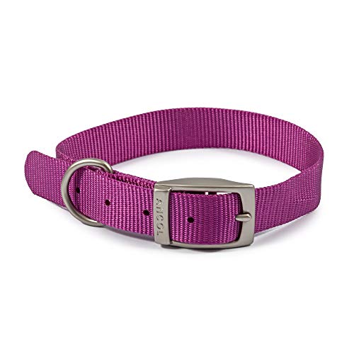 Ancol Viva Lightweight Dog Collar with Satin Buckle... - Maison & Cuisine Amazon Royaume-Uni à 4.99€