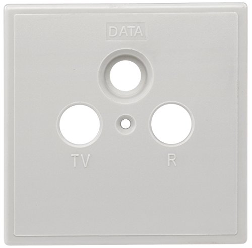 Axing SZU 2-01 plaque murale cache pour prise BSD 963-xx... - High-Tech & Électronique en promo à 0.59€