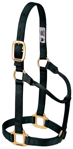 Weaver Leather Original Non-Adjustable Nylon Horse Halter - Maison & Cuisine Amazon Allemagne à 20.04€