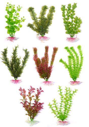 Supa Kunststoff Pflanzen Polybeutel und Header, 6, 8 Stück - Jardin & Extérieur Amazon Allemagne à 13.52€