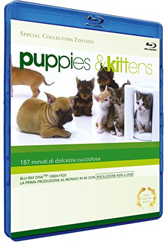 Puppies & Kittens - Jouets & Jeux Amazon Italie à 3.48€