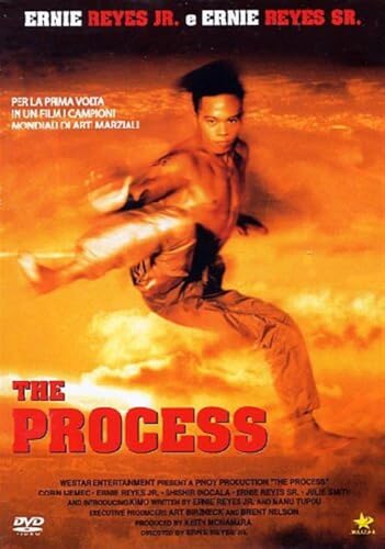 The Process - Livres & eBooks Amazon Italie à 4.99€