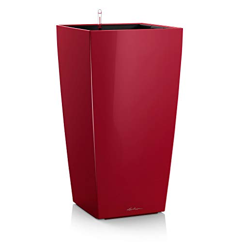 LECHUZA CUBICO Premium 22 rosso scarlatto lucido 18479 - Auto & Motorcycle Amazon Italy à 43.99€