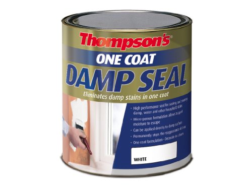 One Coat Damp Seal 250 ml - RSLTOCDS250 - Maison & Cuisine Amazon Royaume-Uni à 9.82€