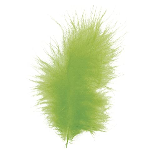 Rayher Piuma Soffice, Verde Chiaro, 10-15 Cm, Bus.Blis 15... - Amazon Italy à 2.79€