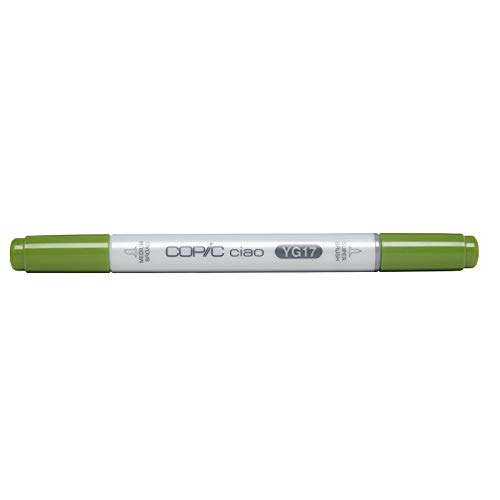 COPIC Ciao YG17, Grass Green, Twin Marker avec une pointe... en promo à 5,49€ (-48%) sur Amazon FR