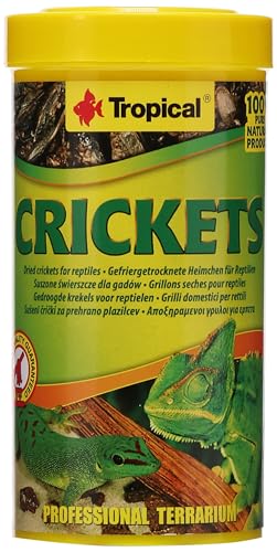 Crickets 250ml / 25g - Grillons seches pour Reptiles et... - Animalerie Amazon France à 11.12€