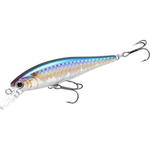 Lucky Pointeur Craft 78 coulant, MS American Shad - Sports & Fitness Amazon France à 20.26€
