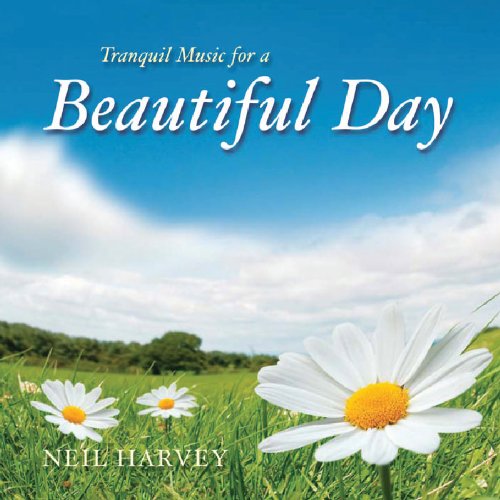 Tranquil Music For A Beautiful Day - Musique & Instruments Amazon Italie à 17.50€