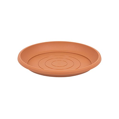 Terra Pot de Fleurs Terra, Terre Cuite, 25 cm - Jardin & Extérieur Amazon France à 1.07€