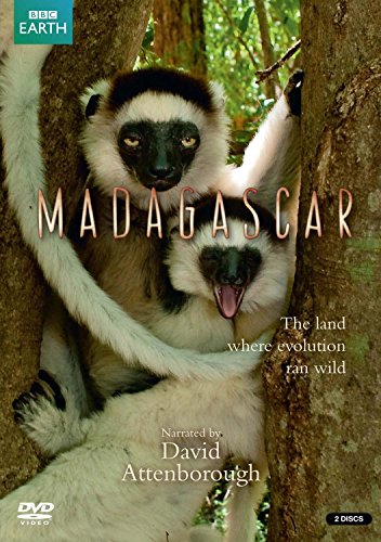 Madagascar [2 DVDs] [UK Import] - Auto & Moto Amazon Allemagne à 5.47€
