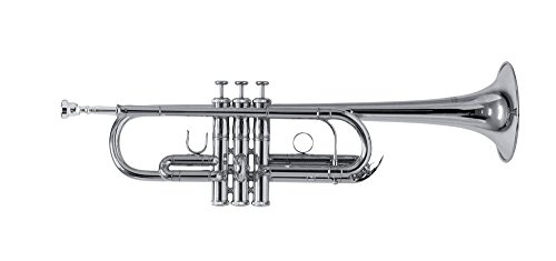 Roy Benson C-Trumpet TR-402CS (trompeta versátil, con... - Maison & Cuisine Amazon Espagne à 207.14€
