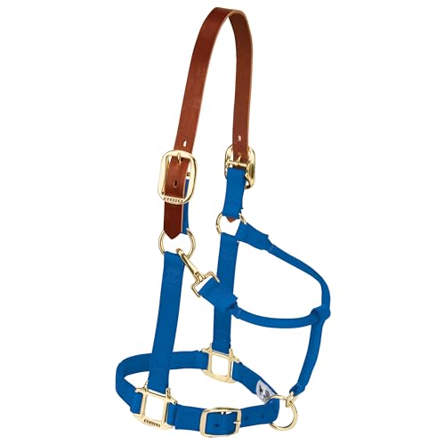 Weaver Leather Sicherheits-Halfter für Fohlen und Ponys aus... - Amazon Allemagne à 27.64€