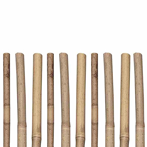 Siena Garden Tonkinstäbe, 6/8mm, 90cm, 10 Stück, beige - Vente Flash Amazon -73%