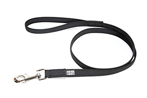Color & Gray Super-Grip Leash with Handle, 20 mm x 2 m... - Animalerie Amazon Royaume-Uni à 10.25€