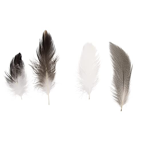 Rayher Piume Miste, Pepita, 7-9 Cm, Busta 10G, 8515500 - Amazon Italy à 3.29€