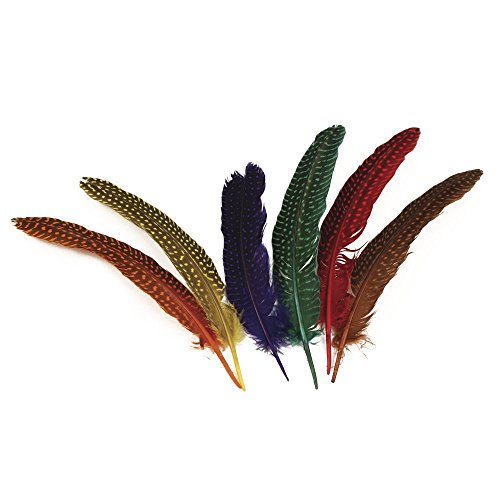 Rayher Piume Punteggiate, Assortiti, 17-22 Cm, Busta 12... - Amazon Italy à 4.79€