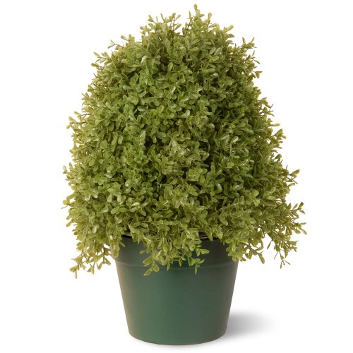 National Tree 18-Inch Boxwood Tree in Dark Green Round... - Amazon Royaume-Uni à 14.05€