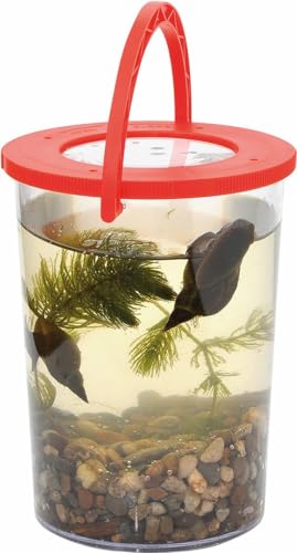 Eduplay Riesenbecherlupe - Becher mit Henkel und Lupe - Jouets & Jeux Amazon Allemagne à 4.40€