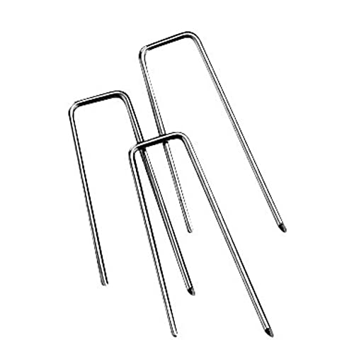 Rayher Graffette per Fiori, Busta 100 Pz, 25X5Mm, Busta 100... - Loisirs Créatifs Amazon Italie à 2.45€