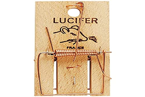 DIGRAIN Luna to Mouse - R4001 - High-Tech & Électronique Amazon Royaume-Uni à 4.50€