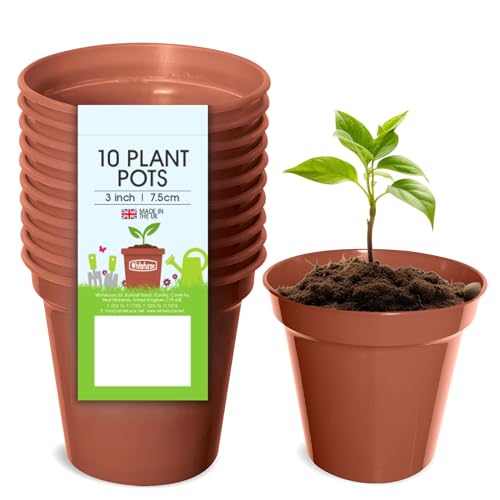 Whitefurze G04012 7.5cm Garden Pot - Terracotta (Set of 10) - Jardin & Extérieur Amazon Royaume-Uni à 2.00€