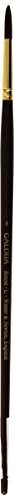 Winsor & Newton Galeria Pincel para acrílico, Madera, Nº8 - DIY & Tools Amazon Spain à 6.59€