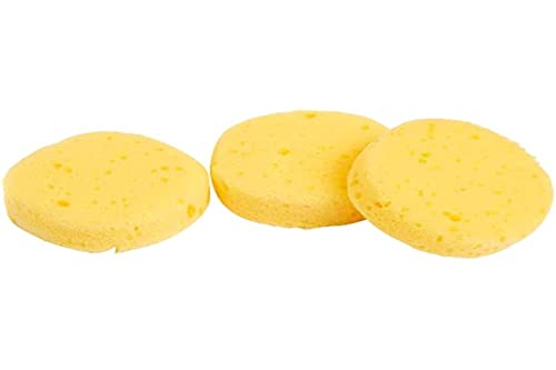 Rayher 3824100 Set di Spugnette per Dipingere, Gommapiuma... - Sports & Fitness Amazon Italie à 7.80€