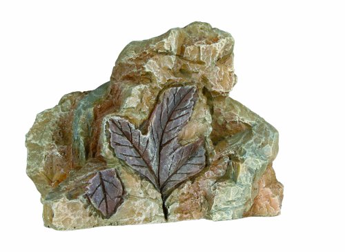 Trixie 88272 6 Fossilien, 8–9 cm - Amazon Germany à 9.28€