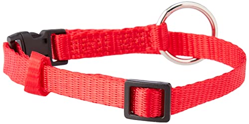 Nobby Halsband Classic, rot L: 20-35 cm, B: 10 mm, 1 Stück - Bon plan à 2.59€