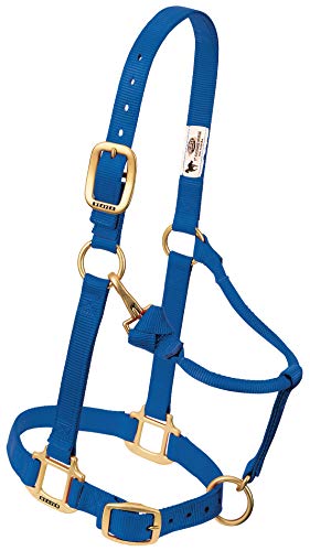 Weaver Leather Original Adjustable Nylon Horse Halter... - Maison & Cuisine Amazon Royaume-Uni à 13.10€