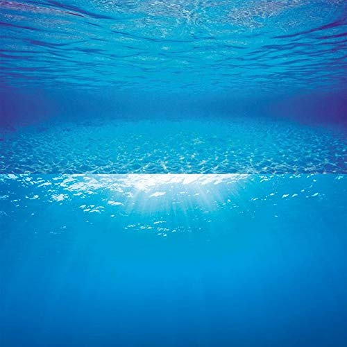 Juwel Juwel Poster 2 S 60x30cm Pour Aquarium Pour... en promo à 2,89€ (-67%) sur Amazon FR