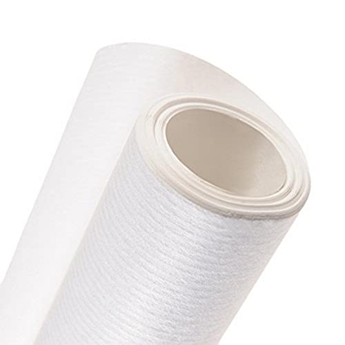 Canson Rouleau de Papier kraft 1 x 10 m Blanc en promo à 24,85€ (-61%) sur Amazon FR