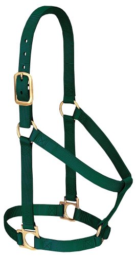 Weaver Leather Basic Non-Adjustable Nylon Horse Halter... - Home & Kitchen Amazon Germany à 27.18€
