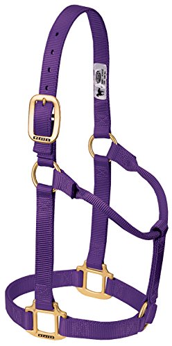 Weaver Leather Original Non-Adjustable Nylon Horse Halter... - Animalerie Amazon Allemagne à 21.94€