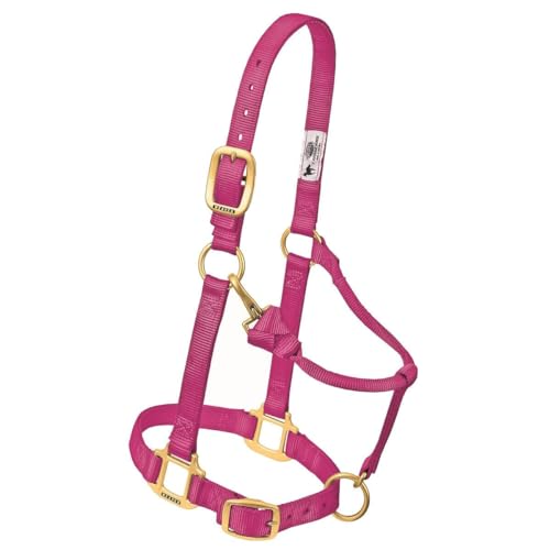 Weaver Leather Original Adjustable Nylon Horse Halter... - Maison & Cuisine Amazon Italie à 21.21€