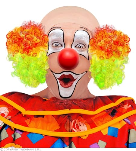 W WIDMANN MILANO Party Fashion - Perruque de Clown de Luxe... - Jouets & Jeux Amazon France à 7.90€
