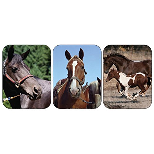 Eureka Chevaux véritable Photo Stickers en promo à 6,54€ (-83%) sur Amazon FR