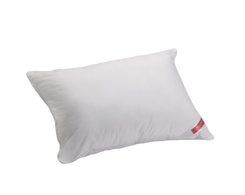 Aller-Ease Hot Water Washable Allergy Pillow, Queen, Medium - Home & Kitchen Amazon UK à 10.05€