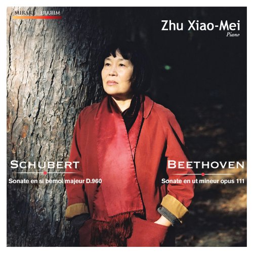 Klaviersonaten 23 D.960/32 op.111 - Musique & Instruments Amazon France à 25.00€