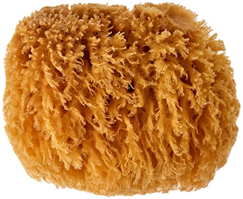 CROLL & DENECKE M090, Naturschwamm, Meeresschwamm... - Loisirs Créatifs Amazon Allemagne à 5.75€