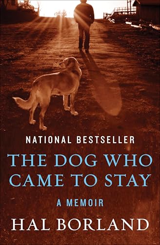 The Dog Who Came to Stay: A Memoir - Amazon Royaume-Uni à 1.99€